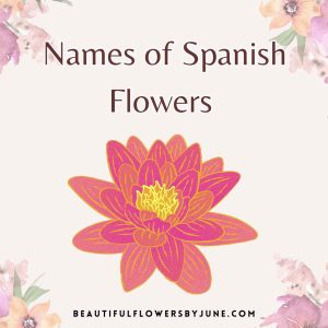 Names of Spanish Flowers